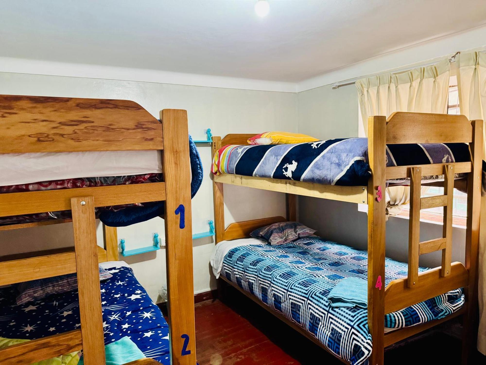 Ukumari Hostel Cusco Eksteriør billede